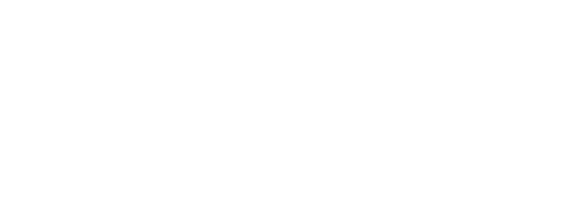 Modun Leadman Fitness