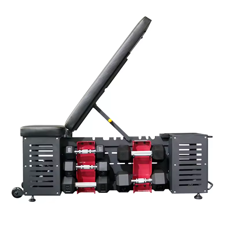 Adjustable Multifunctional Dumbbell Storage Bench-img1
