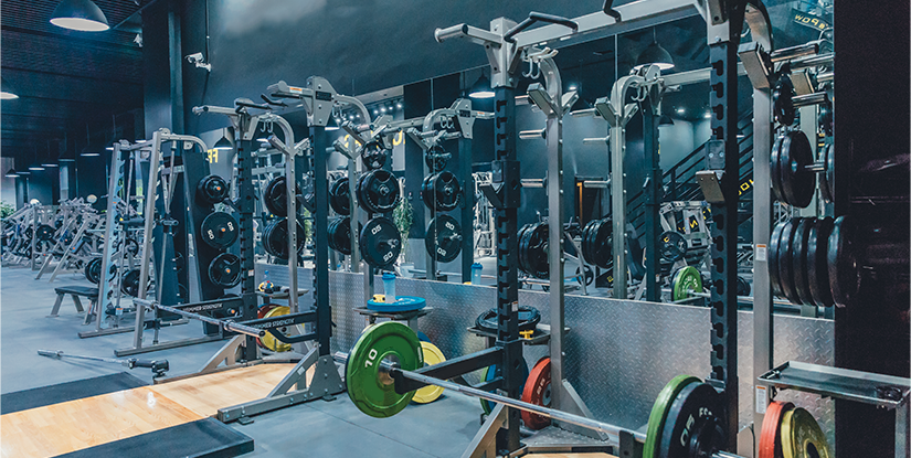 Evaluating at Home Squat Rack Durability for Retailers